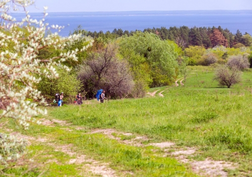 В гості до Козака